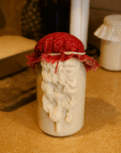 Active potato flake sourdough starter overflowing from a glass jar after feeding, covered with a red cloth.